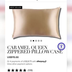 BNIB slip Brand Caramel Silk Queen Zippered Pillowcase x2